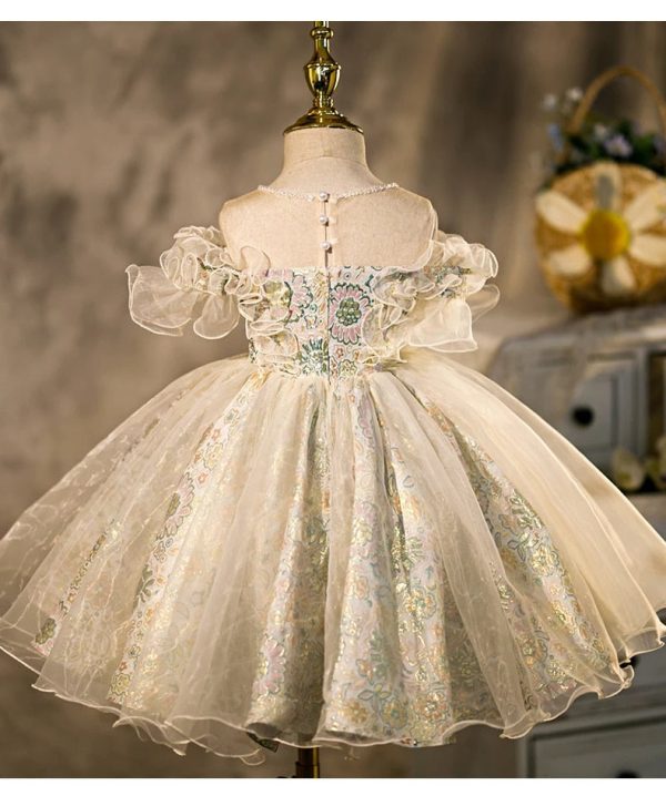 Tutu Princess Ball Gown Lace Tulle Baby 1st Birthday Party Wedding Flower Girl Dress - Image 2
