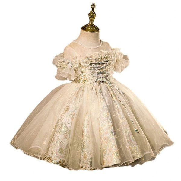 Tutu Princess Ball Gown Lace Tulle Baby 1st Birthday Party Wedding Flower Girl Dress - Image 5