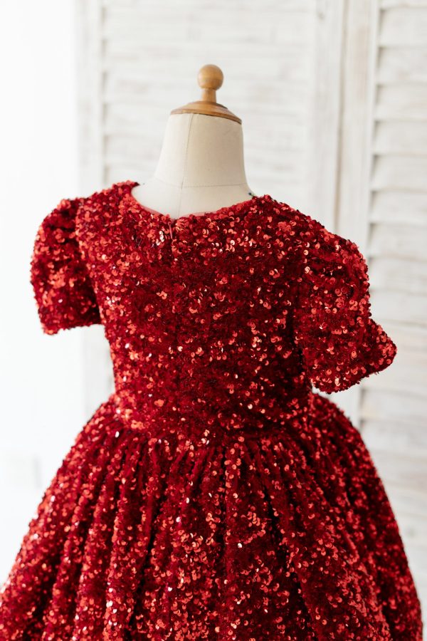 Short Sleeves Burgundy Sequin Wedding Flower Girl Dress Kids Formal Dress - Image 4