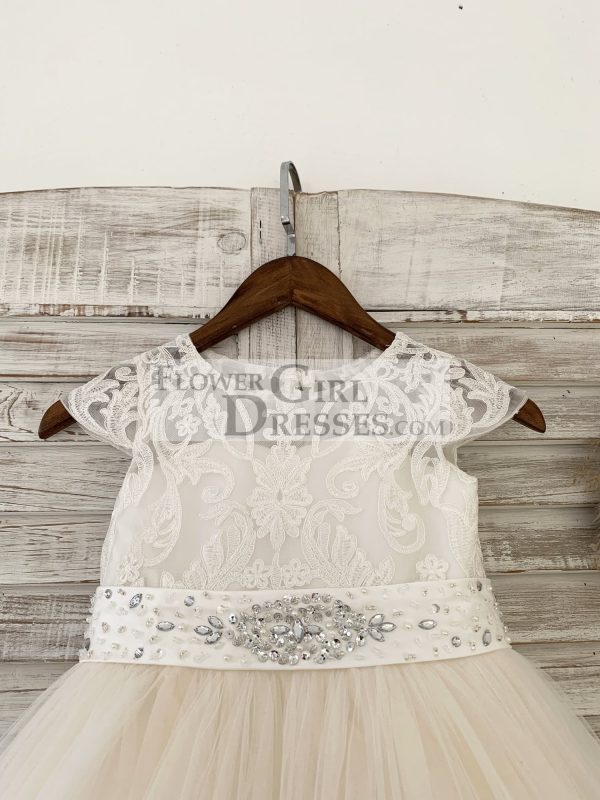 Cap Sleeves Lace Champagne Tulle Wedding Flower Girl Dress, Beaded Belt - Image 3