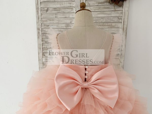 Fluffy Sleeves Beaded Peach Tulle Organza Wedding Flower Girl Dress Kids Party - Image 5