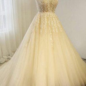 V-Neck Chapel Train A-Line Sleeveless Champagne Tulle Wedding Dress